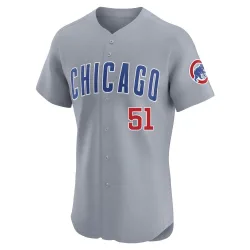 Chicago Cubs Anderson Espinoza Gray Elite Men's Road Player Jersey