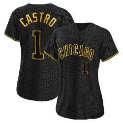 Chicago Cubs Willi Castro Black Replica Women's Snake Skin City Player Jersey