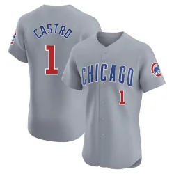 Chicago Cubs Willi Castro Gray Elite Men's Road Player Jersey